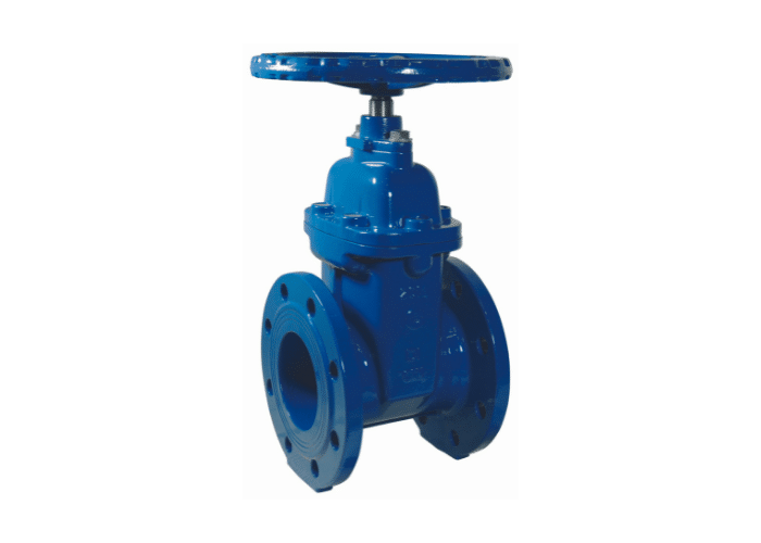 Orseal Cast Iron Gate Valve