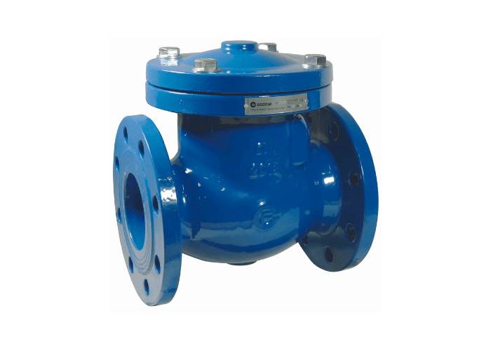 Cast Iron Swing Check Valve