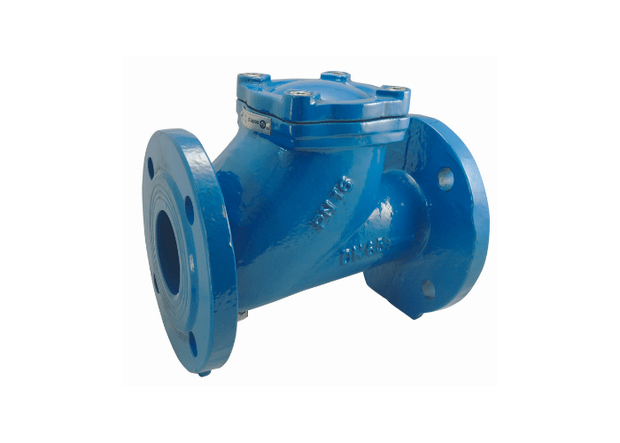 CI Ball Check Valve