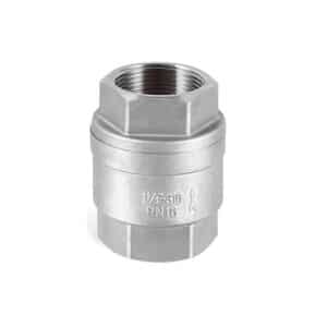 Stainless Steel spring check valve